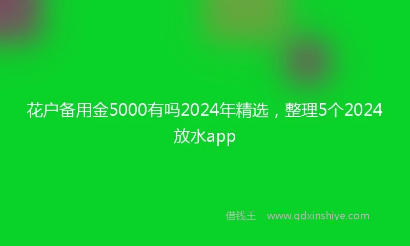 花户备用金5000有吗2024年精选，整理5个2024放水app
