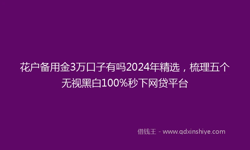 花户备用金3万口子有吗2024年精选，梳理五个无视黑白100%秒下网贷平台
