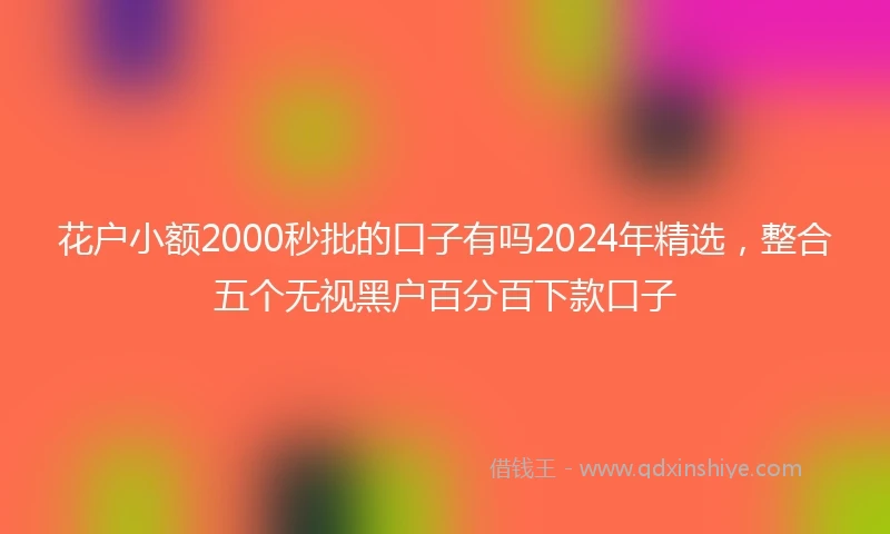 花户小额2000秒批的口子有吗2024年精选，整合五个无视黑户百分百下款口子