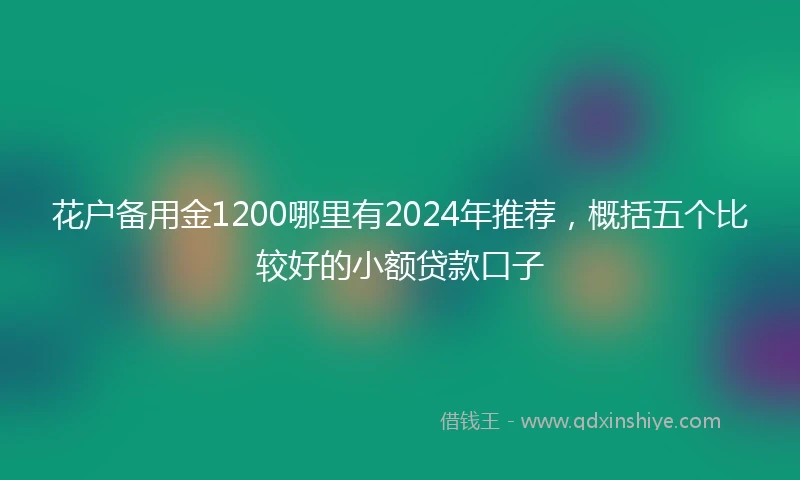 花户备用金1200哪里有2024年推荐，概括五个比较好的小额贷款口子