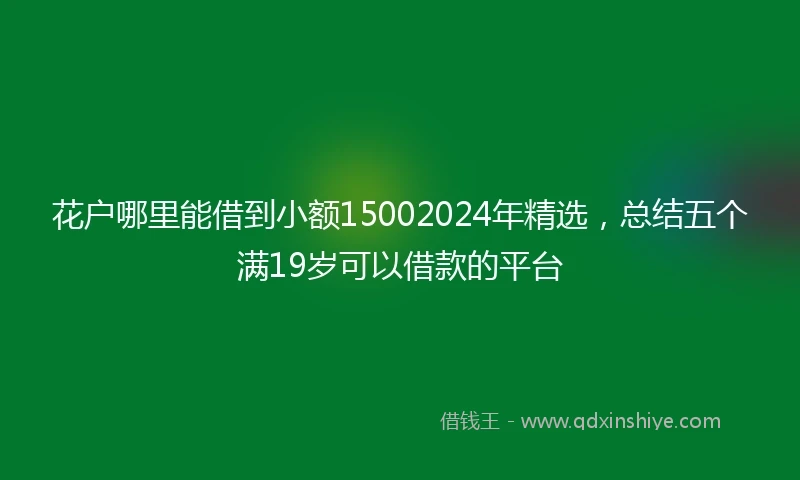 花户哪里能借到小额15002024年精选，总结五个满19岁可以借款的平台