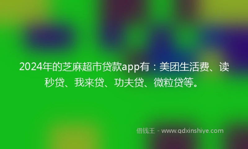 2024年的芝麻超市贷款app有：美团生活费、读秒贷、我来贷、功夫贷、微粒贷等。