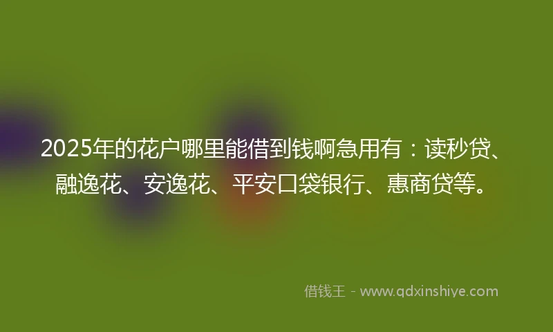 2025年的花户哪里能借到钱啊急用有：读秒贷、融逸花、安逸花、平安口袋银行、惠商贷等。