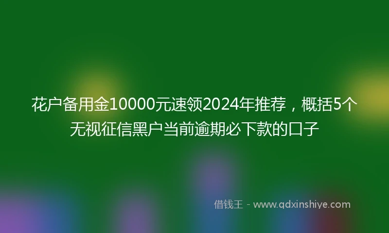 花户备用金10000元速领2024年推荐，概括5个无视征信黑户当前逾期必下款的口子