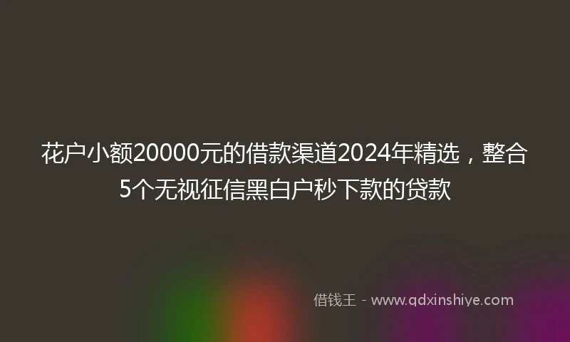 花户小额20000元的借款渠道2024年精选,整合5个无视征信黑白户秒下款的贷款