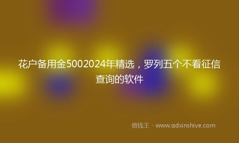 花户备用金5002024年精选，罗列五个不看征信查询的软件