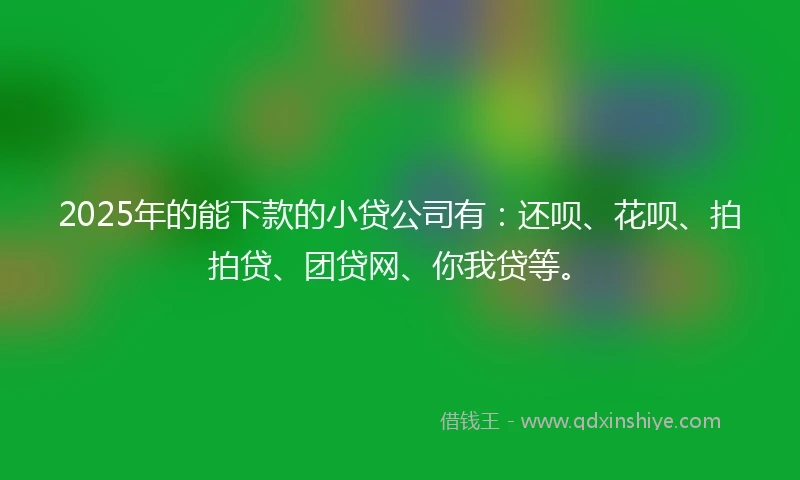 2025年的能下款的小贷公司有：还呗、花呗、拍拍贷、团贷网、你我贷等。