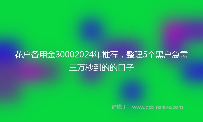 花户备用金30002024年推荐，整理5个黑户急需三万秒到的的口子
