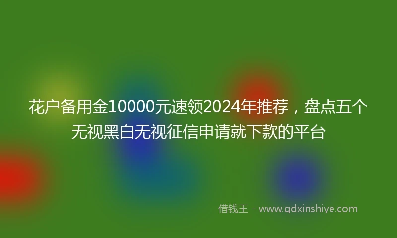 花户备用金10000元速领2024年推荐,盘点五个无视黑白无视征信申请就下款的平台