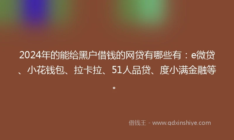 2024年的能给黑户借钱的网贷有哪些有：e微贷、小花钱包、拉卡拉、51人品贷、度小满金融等。