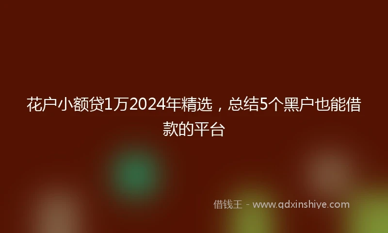 花户小额贷1万2024年精选，总结5个黑户也能借款的平台