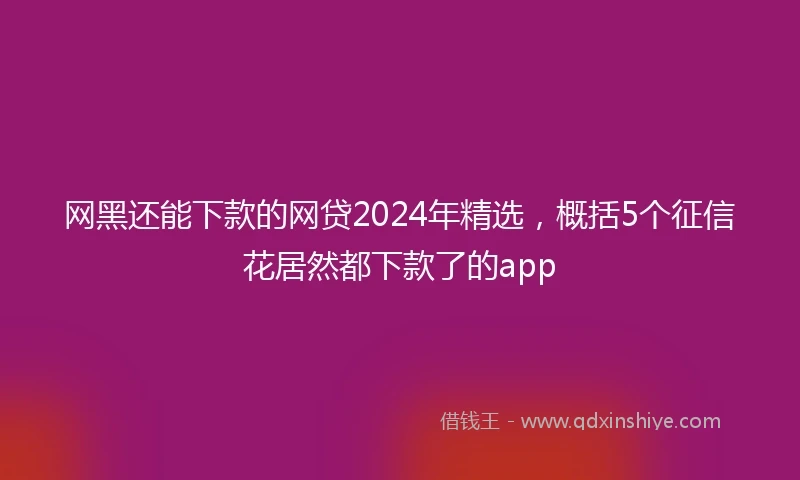 网黑还能下款的网贷2024年精选，概括5个征信花居然都下款了的app