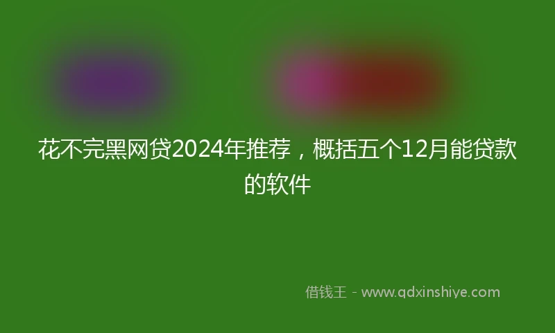 花不完黑网贷2024年推荐，概括五个12月能贷款的软件