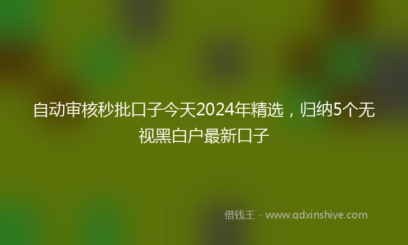 自动审核秒批口子今天2024年精选，归纳5个无视黑白户最新口子