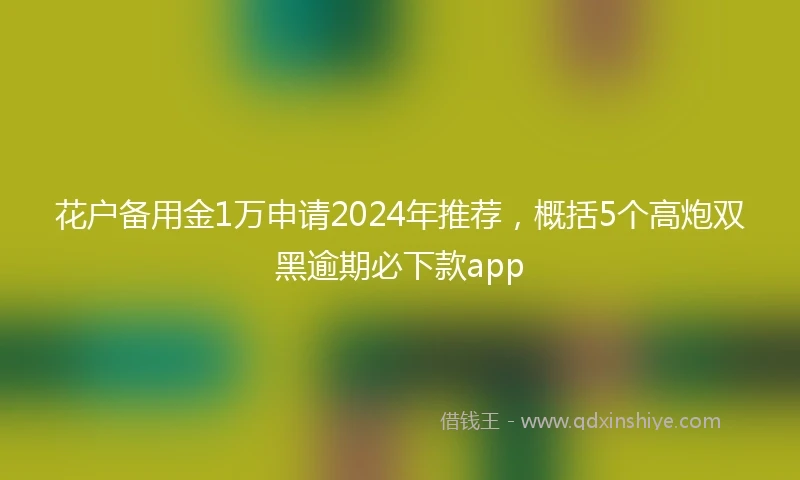 花户备用金1万申请2024年推荐，概括5个高炮双黑逾期必下款app