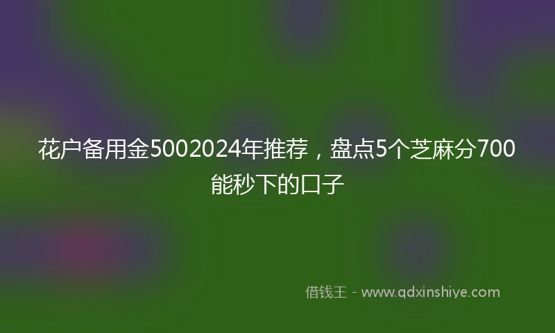 花户备用金5002024年推荐，盘点5个芝麻分700能秒下的口子