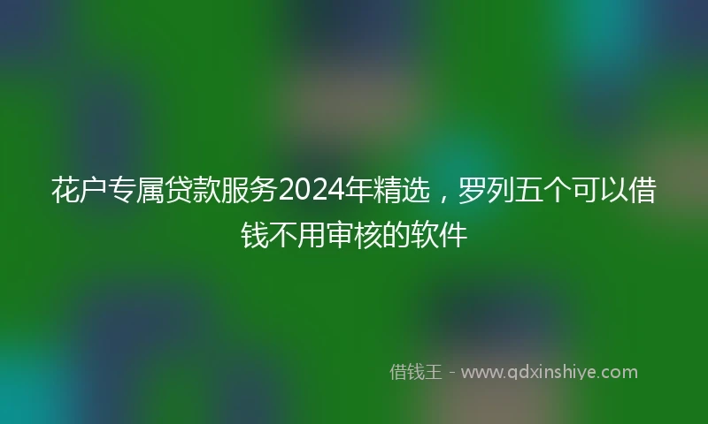 花户专属贷款服务2024年精选，罗列五个可以借钱不用审核的软件