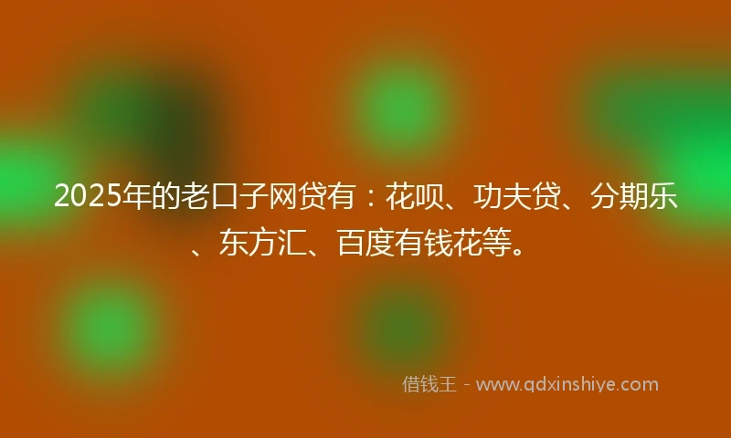 2025年的老口子网贷有：花呗、功夫贷、分期乐、东方汇、百度有钱花等。