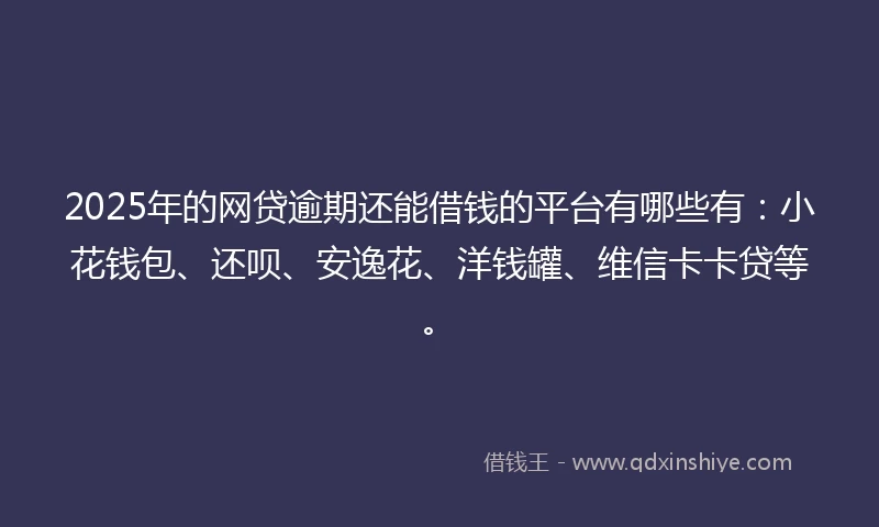 2025年的网贷逾期还能借钱的平台有哪些有：小花钱包、还呗、安逸花、洋钱罐、维信卡卡贷等。