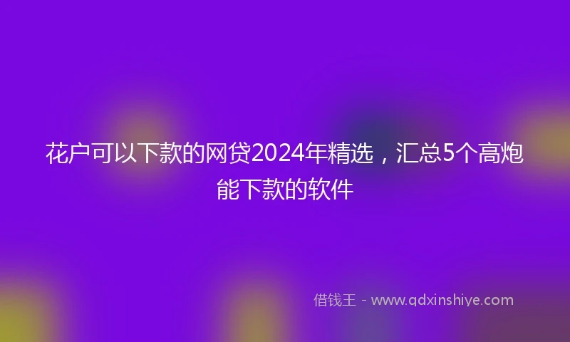 花户可以下款的网贷2024年精选，汇总5个高炮能下款的软件