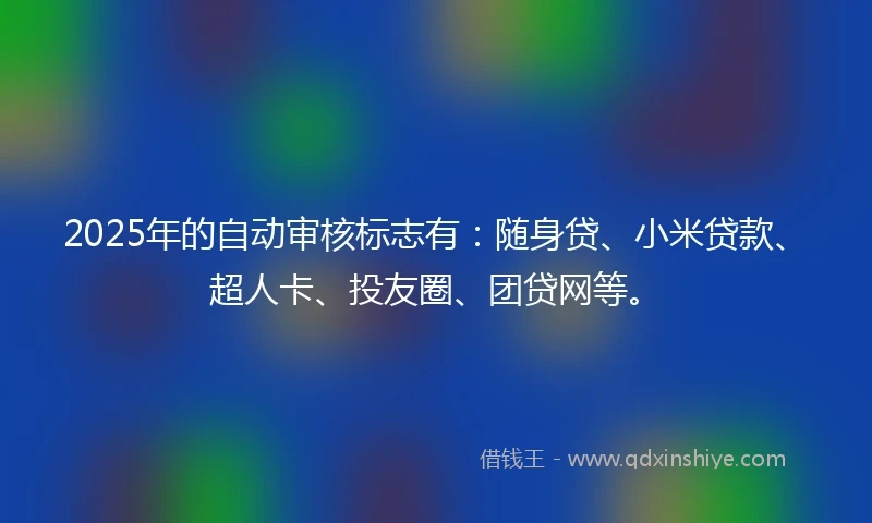 2025年的自动审核标志有：随身贷、小米贷款、超人卡、投友圈、团贷网等。