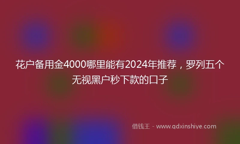 花户备用金4000哪里能有2024年推荐，罗列五个无视黑户秒下款的口子