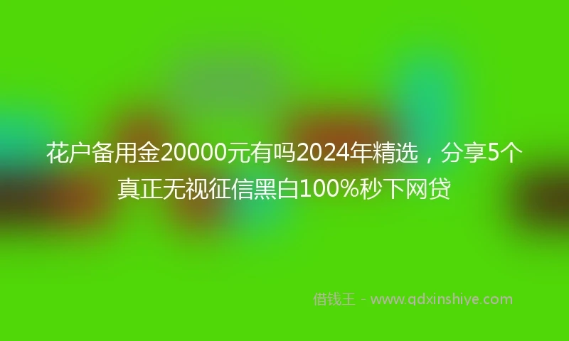花户备用金20000元有吗2024年精选，分享5个真正无视征信黑白100%秒下网贷