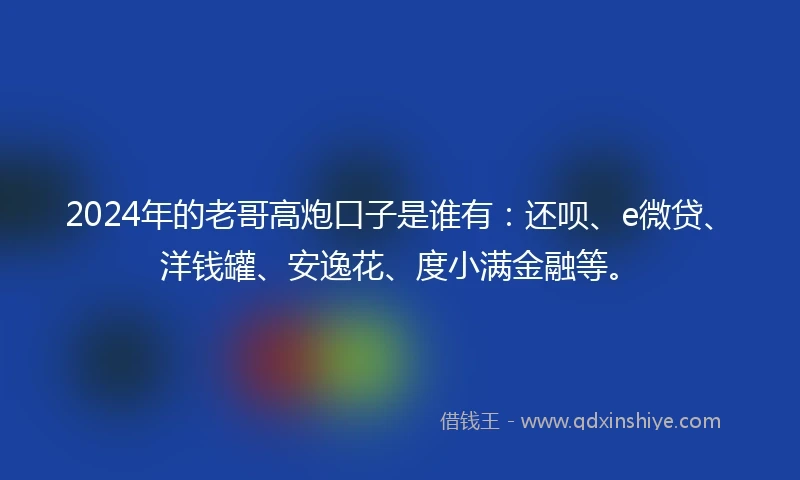 2024年的老哥高炮口子是谁有：还呗、e微贷、洋钱罐、安逸花、度小满金融等。