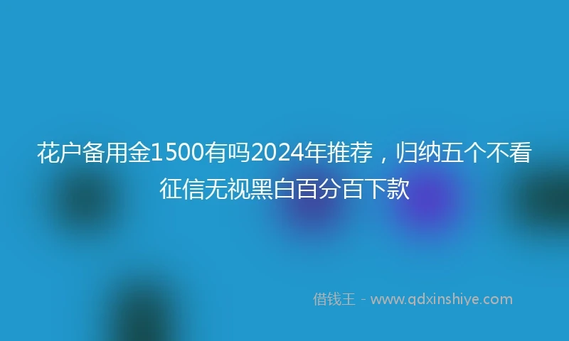 花户备用金1500有吗2024年推荐，归纳五个不看征信无视黑白百分百下款