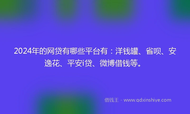 2024年的网贷有哪些平台有：洋钱罐、省呗、安逸花、平安i贷、微博借钱等。