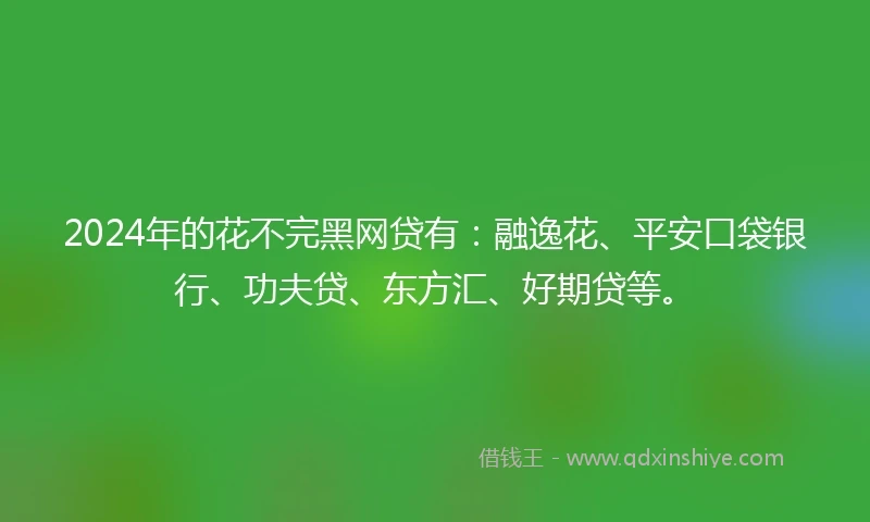 2024年的花不完黑网贷有：融逸花、平安口袋银行、功夫贷、东方汇、好期贷等。