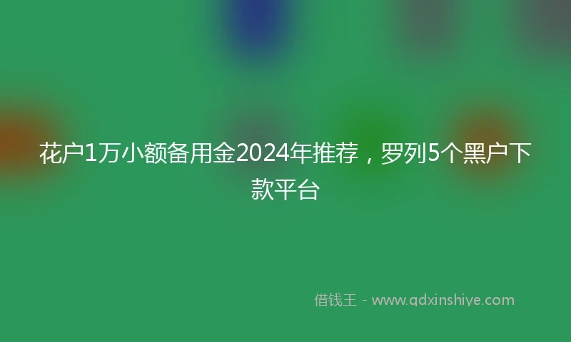 花户1万小额备用金2024年推荐，罗列5个黑户下款平台