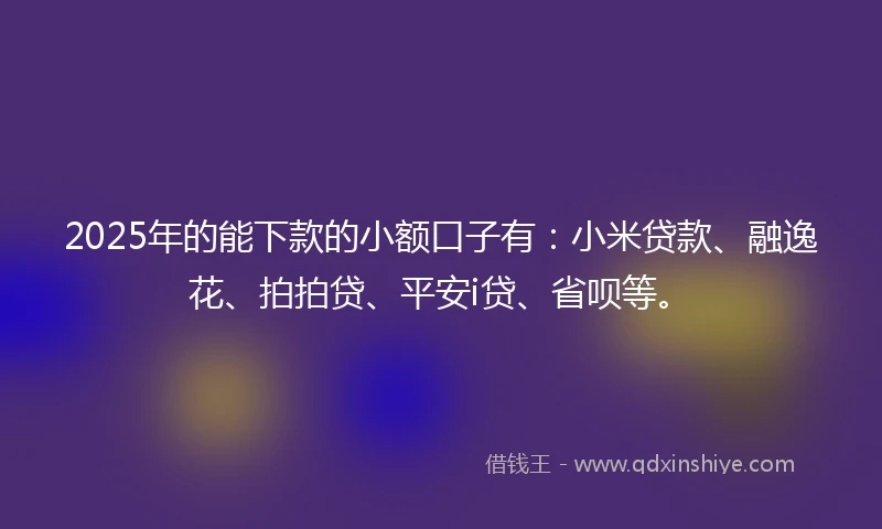 2025年的能下款的小额口子有：小米贷款、融逸花、拍拍贷、平安i贷、省呗等。