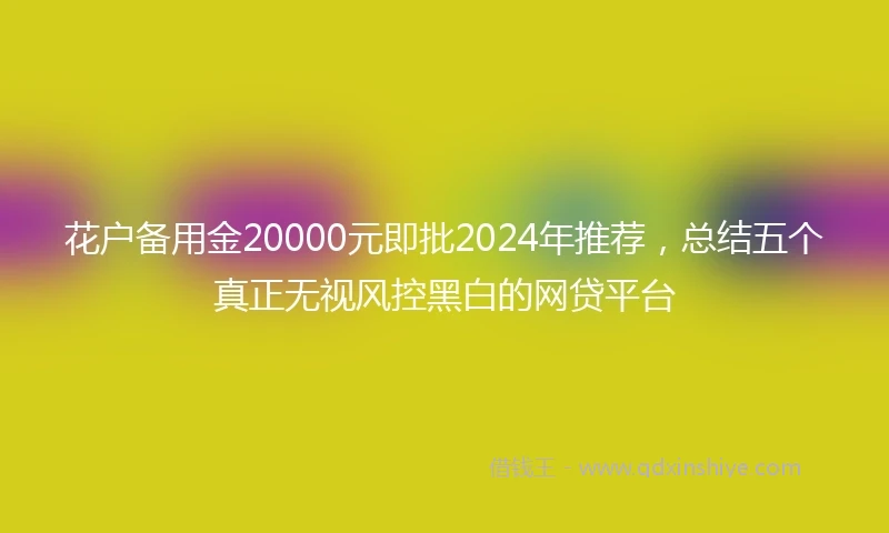 花户备用金20000元即批2024年推荐，总结五个真正无视风控黑白的网贷平台
