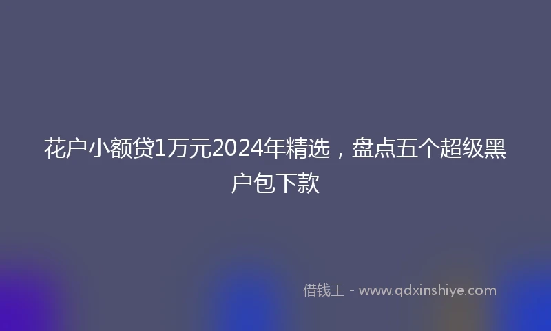 花户小额贷1万元2024年精选,盘点五个超级黑户包下款