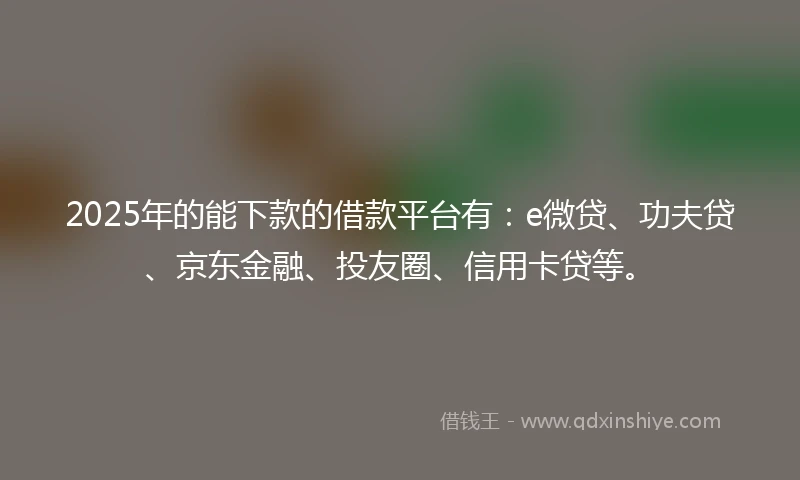 2025年的能下款的借款平台有：e微贷、功夫贷、京东金融、投友圈、信用卡贷等。