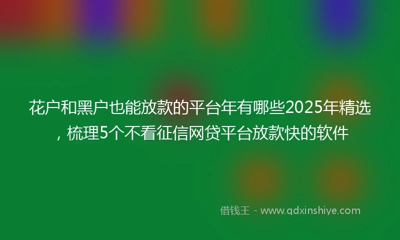 花户和黑户也能放款的平台年有哪些2025年精选，梳理5个不看征信网贷平台放款快的软件