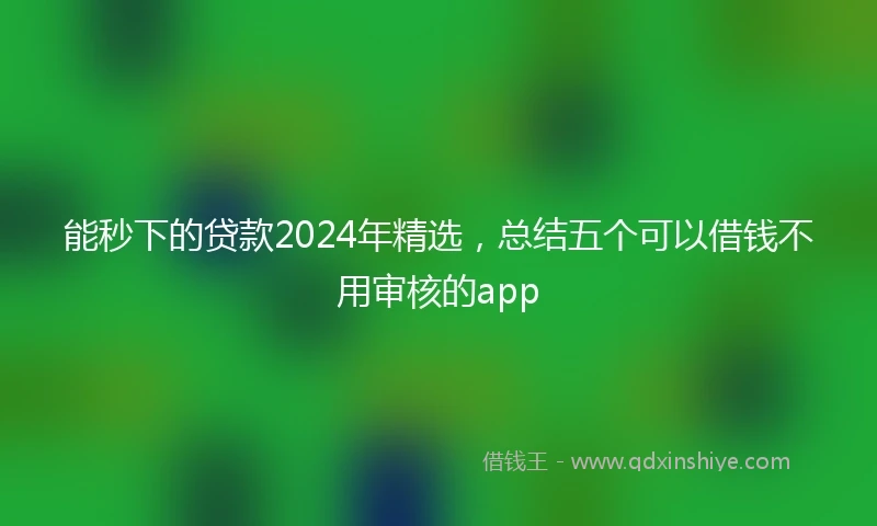 能秒下的贷款2024年精选，总结五个可以借钱不用审核的app