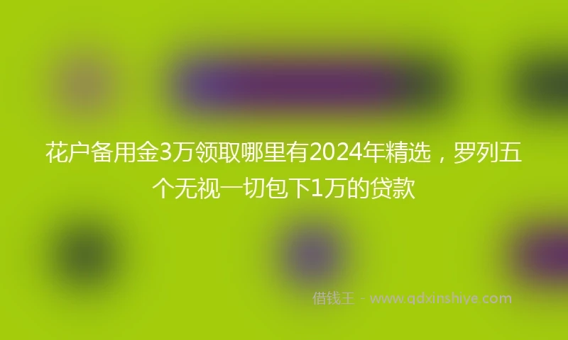 花户备用金3万领取哪里有2024年精选，罗列五个无视一切包下1万的贷款