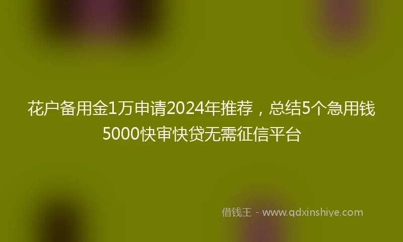花户备用金1万申请2024年推荐，总结5个急用钱5000快审快贷无需征信平台