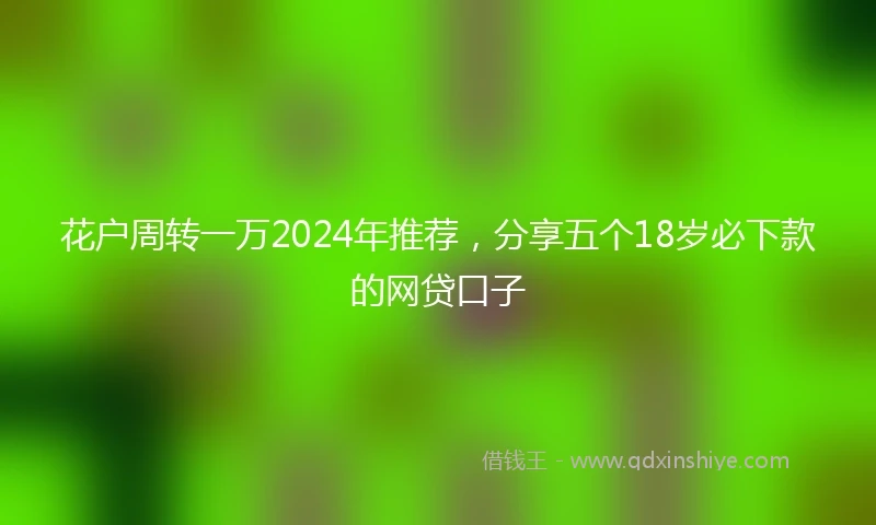 花户周转一万2024年推荐，分享五个18岁必下款的网贷口子