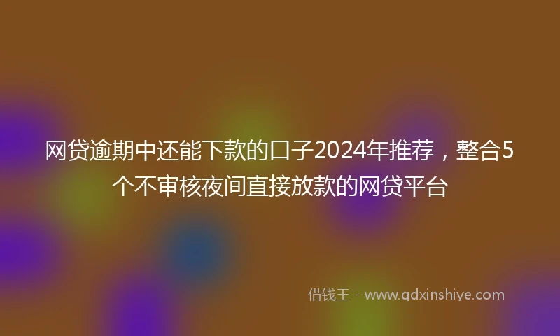网贷逾期中还能下款的口子2024年推荐，整合5个不审核夜间直接放款的网贷平台