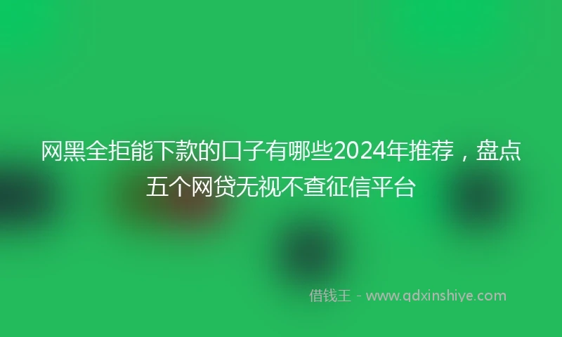 网黑全拒能下款的口子有哪些2024年推荐，盘点五个网贷无视不查征信平台