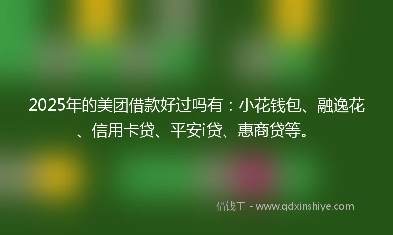 2025年的美团借款好过吗有：小花钱包、融逸花、信用卡贷、平安i贷、惠商贷等。