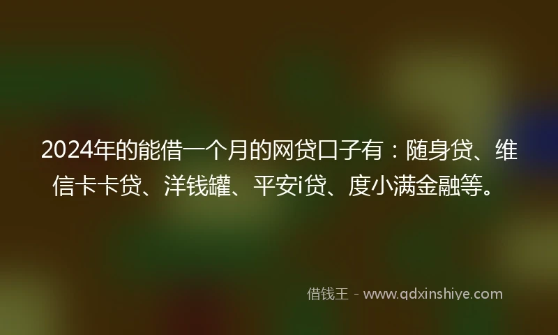 2024年的能借一个月的网贷口子有：随身贷、维信卡卡贷、洋钱罐、平安i贷、度小满金融等。