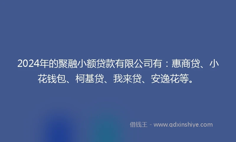2024年的聚融小额贷款有限公司有：惠商贷、小花钱包、柯基贷、我来贷、安逸花等。