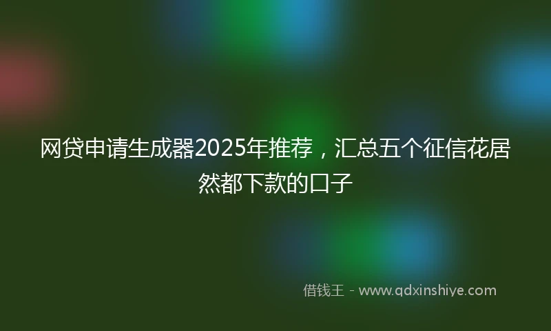 网贷申请生成器2025年推荐，汇总五个征信花居然都下款的口子
