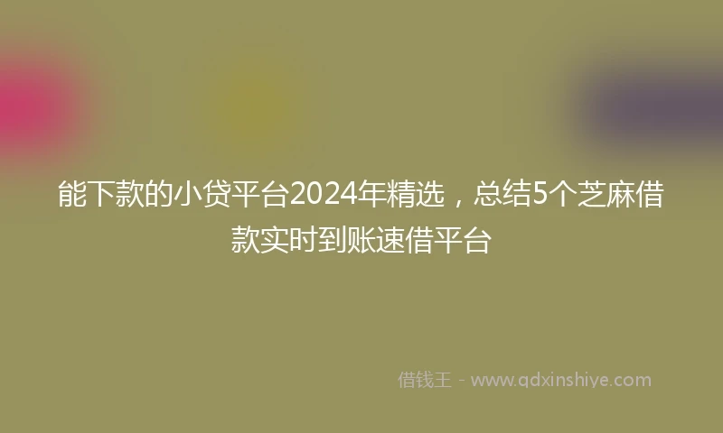 能下款的小贷平台2024年精选，总结5个芝麻借款实时到账速借平台