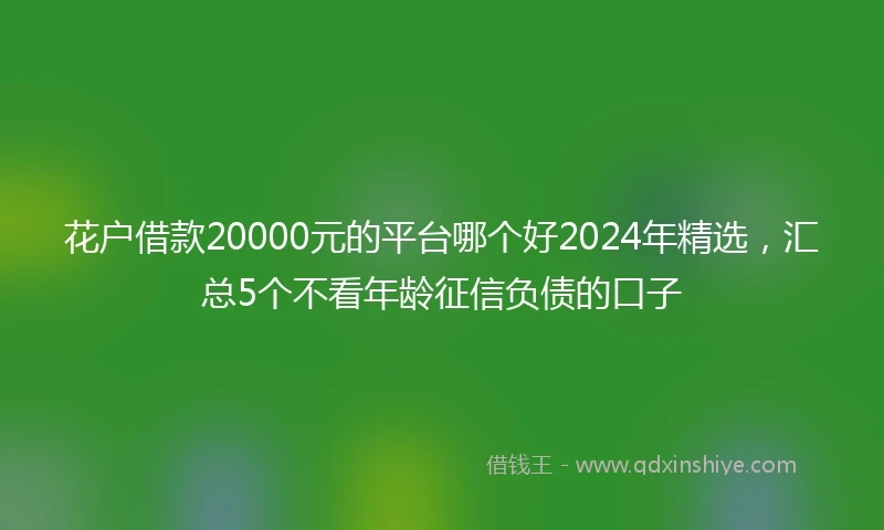 花户借款20000元的平台哪个好2024年精选，汇总5个不看年龄征信负债的口子