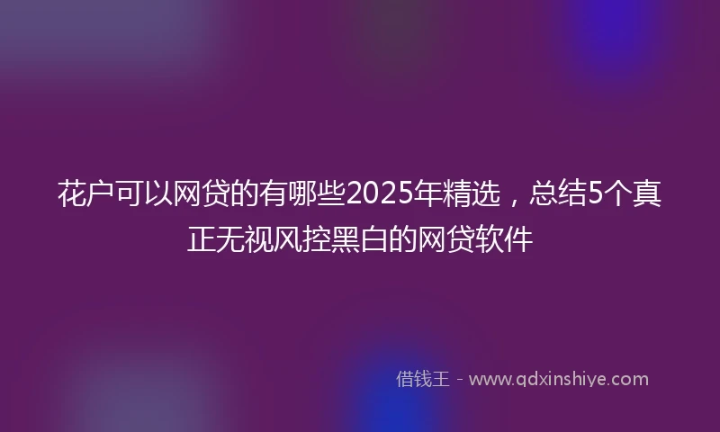 花户可以网贷的有哪些2025年精选，总结5个真正无视风控黑白的网贷软件